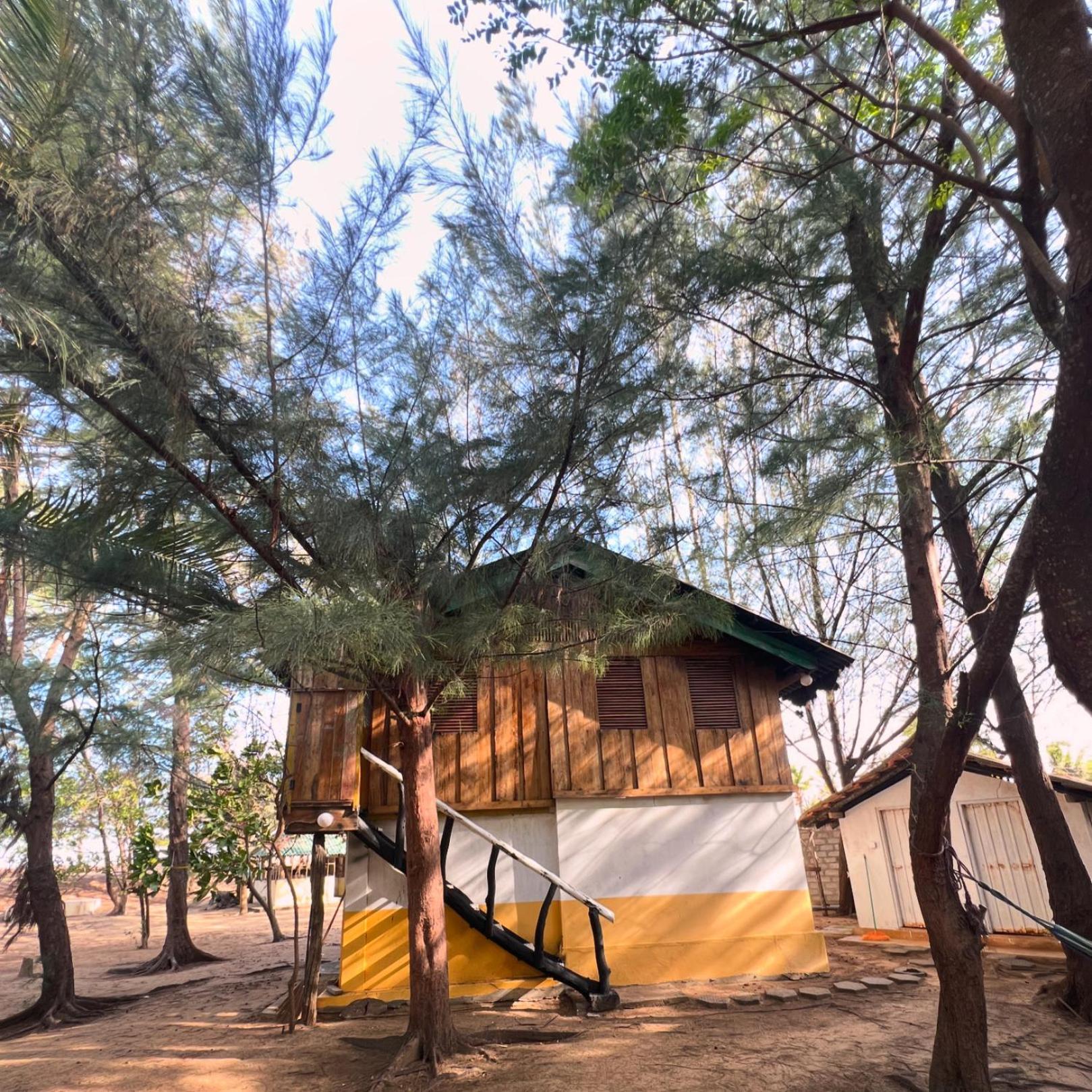 Sand Dune Beach Resort & Surf Camp Baía de Arugam Exterior foto