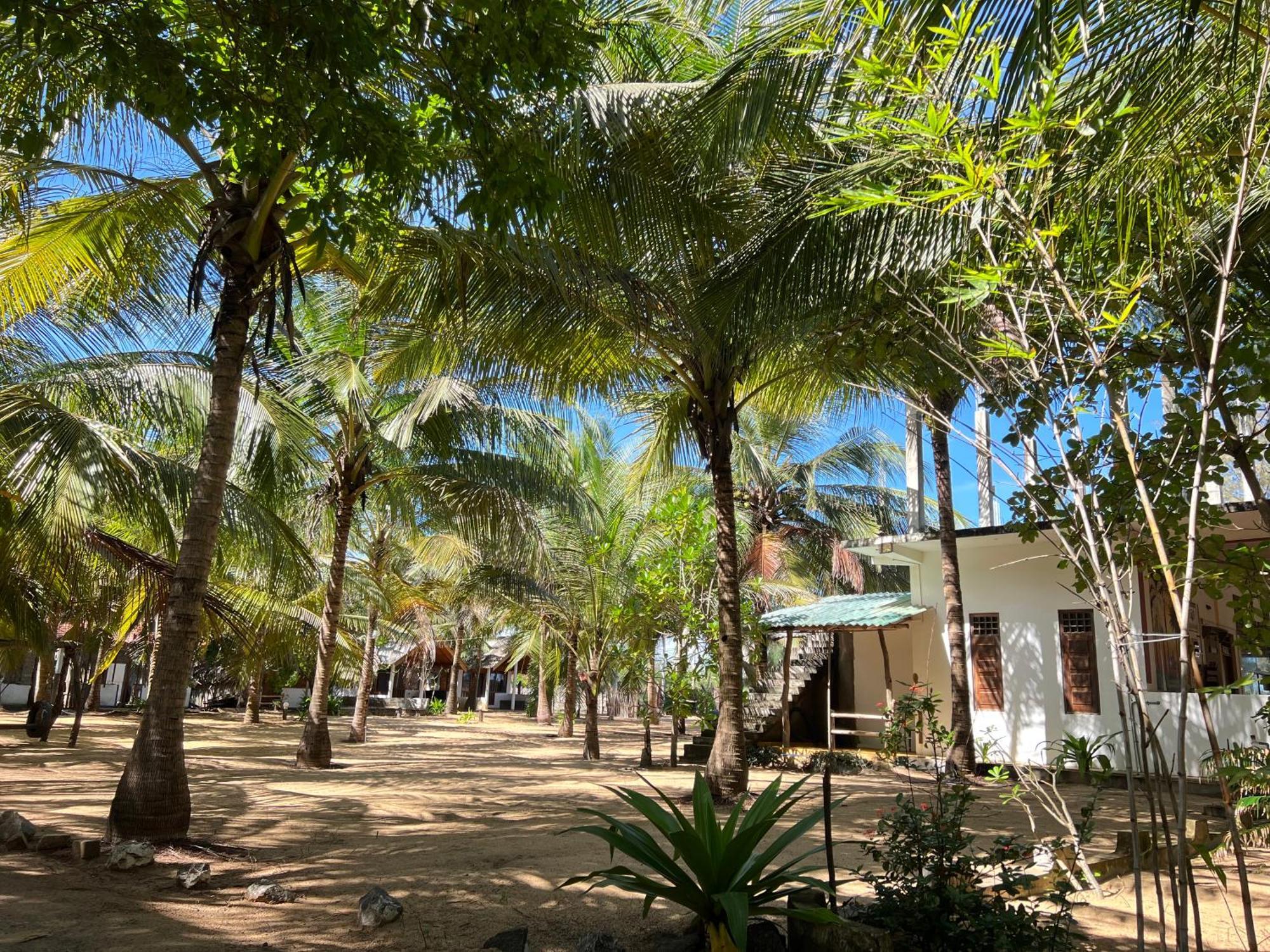 Sand Dune Beach Resort & Surf Camp Baía de Arugam Exterior foto