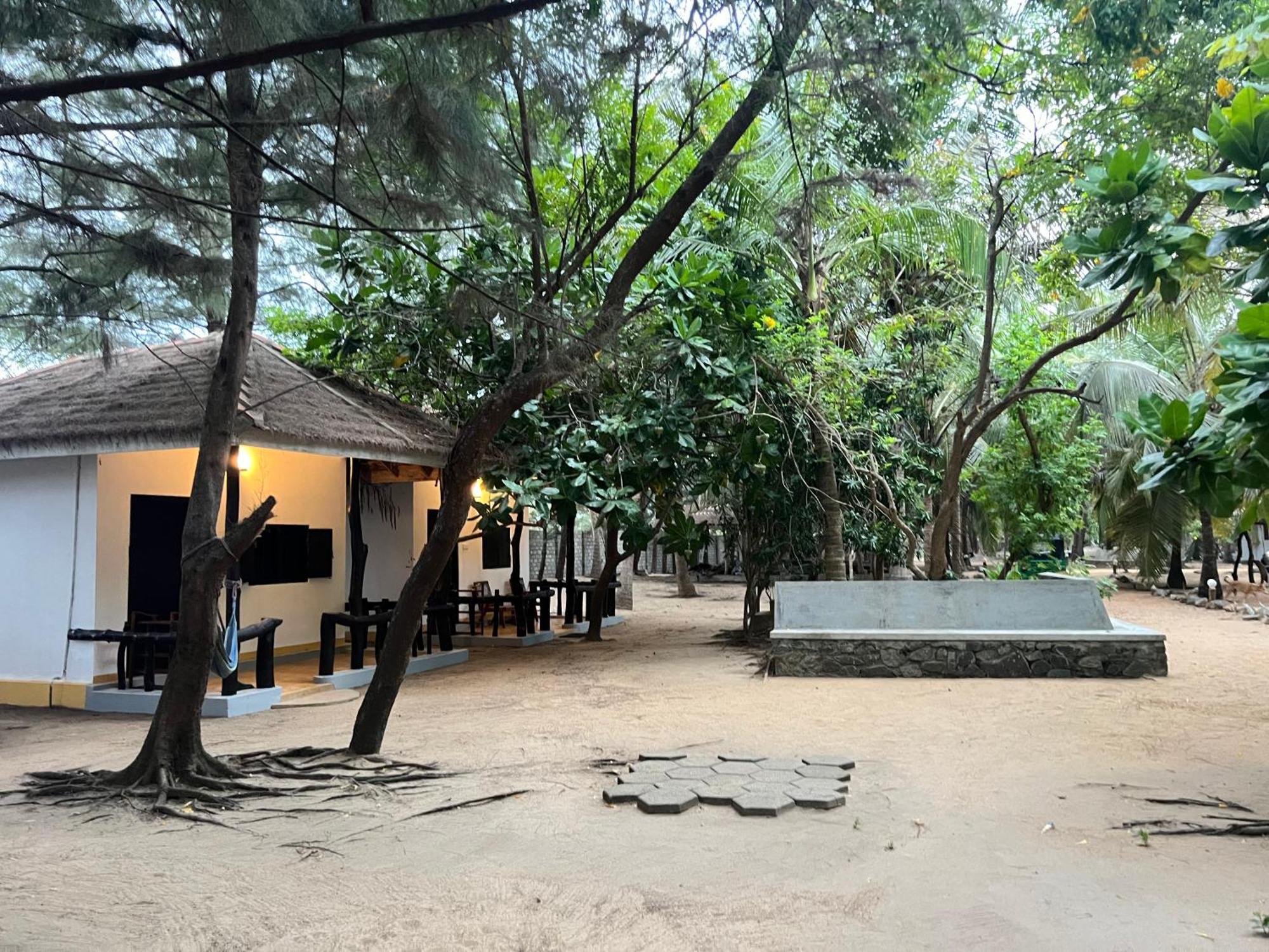 Sand Dune Beach Resort & Surf Camp Baía de Arugam Exterior foto
